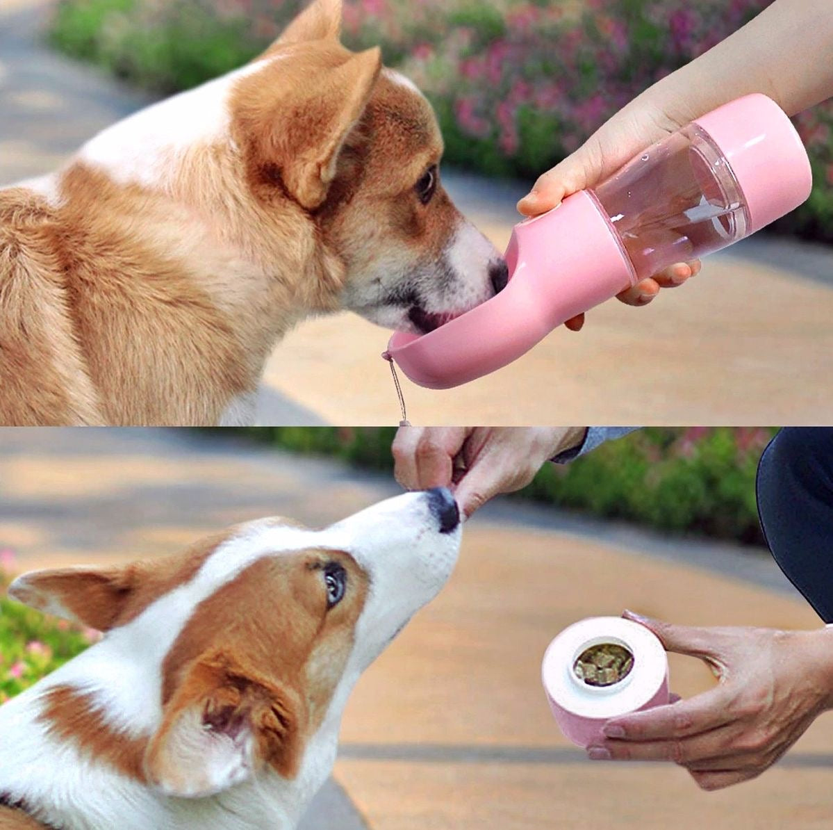 Glube - Cantil Portátil para Animais de estimação - EhbonitoshopMoz
