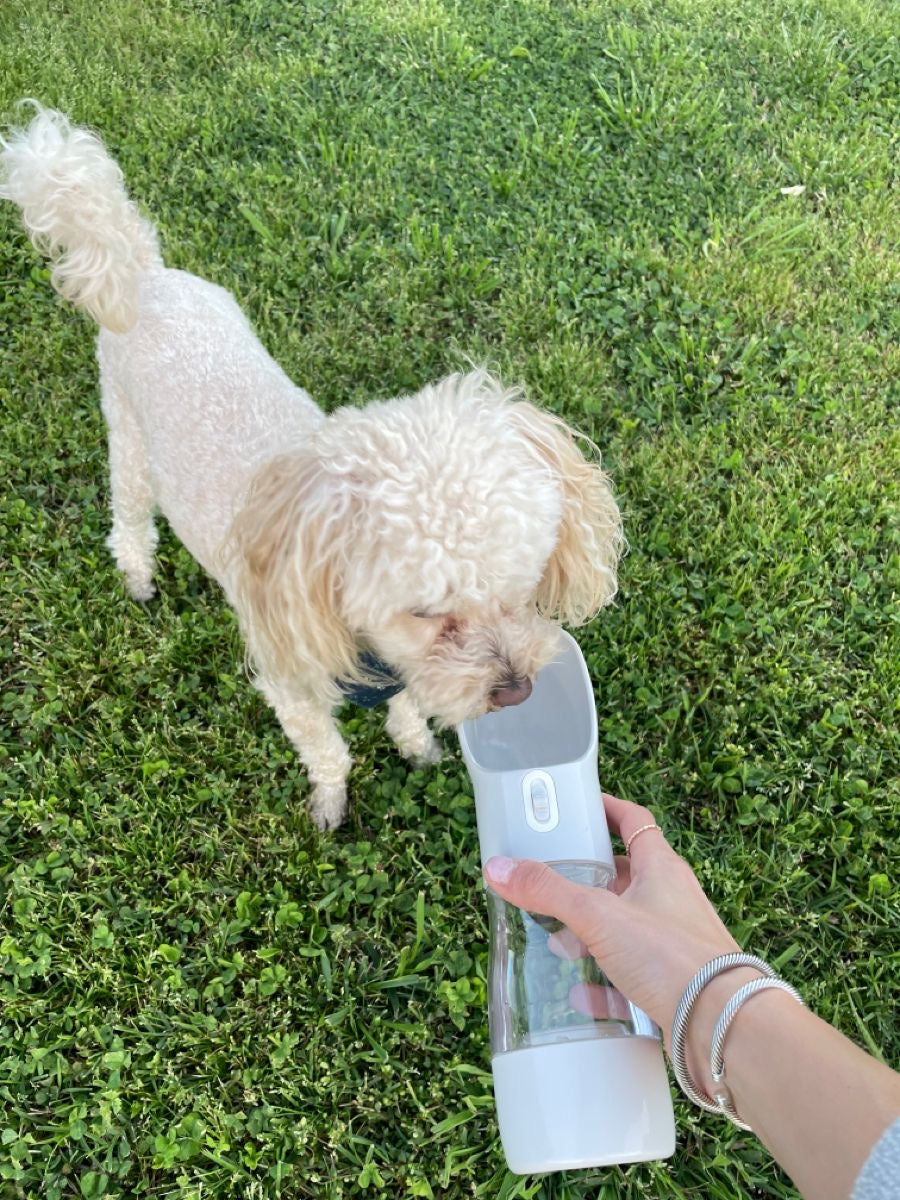 Glube - Cantil Portátil para Animais de estimação - EhbonitoshopMoz