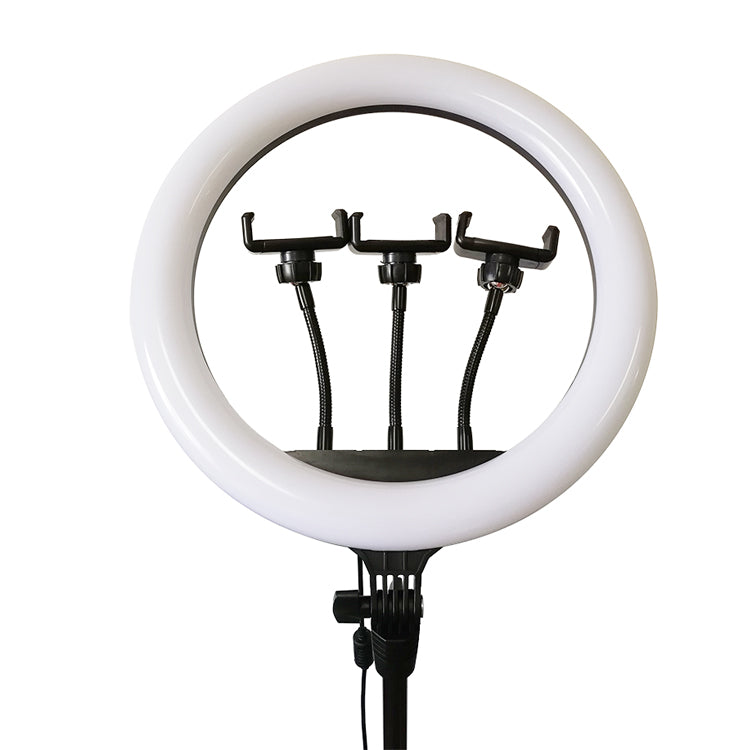 RING LIGHT COM TRIPÉ 14 POLEGADAS - EhbonitoshopMoz
