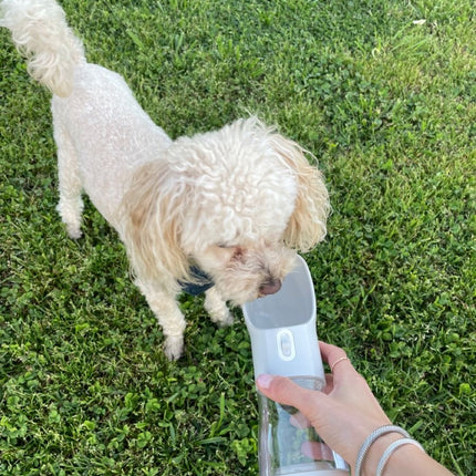 Glube - Cantil Portátil para Animais de estimação - EhbonitoshopMoz