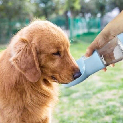 Glube - Cantil Portátil para Animais de estimação - EhbonitoshopMoz